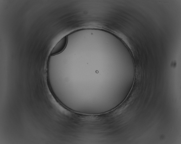 X0000091171387200708301146