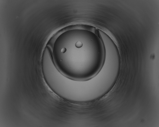 X0000091171388200708301146