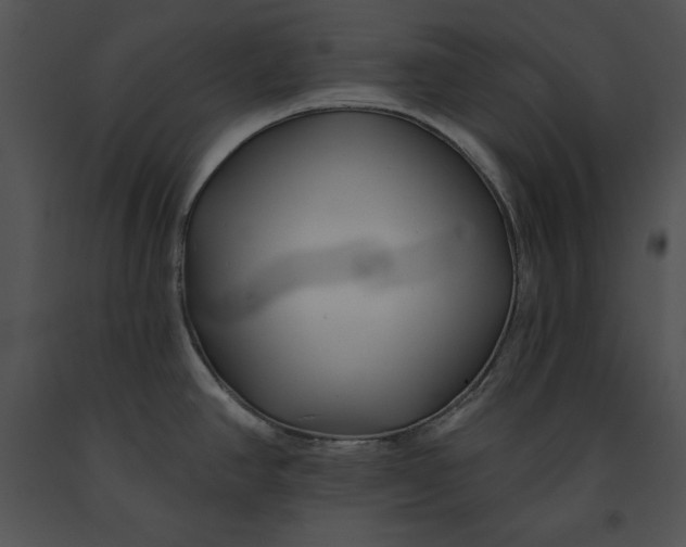 X0000091171390200708301146