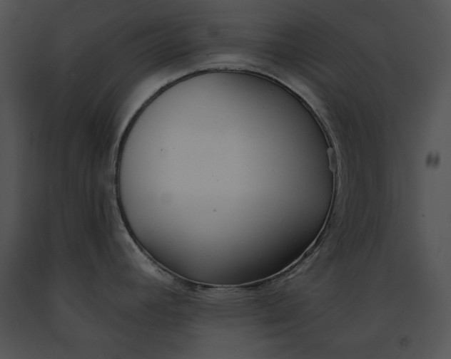 X0000091171392200708301146