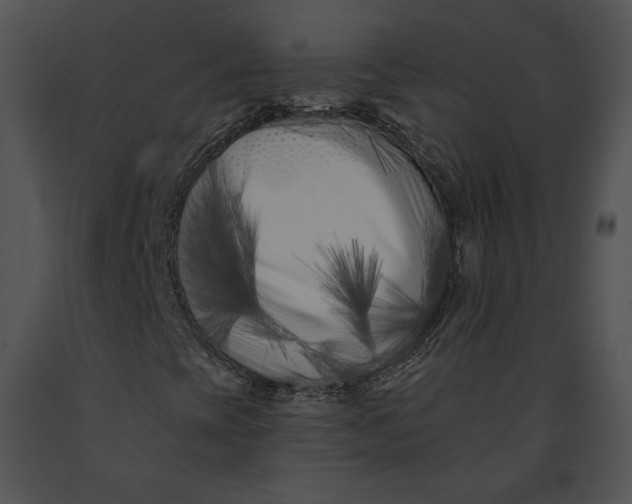 X0000091171393200708301146