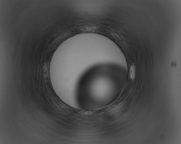 X0000091171395200708301146