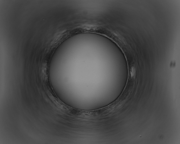 X0000091171396200708301146