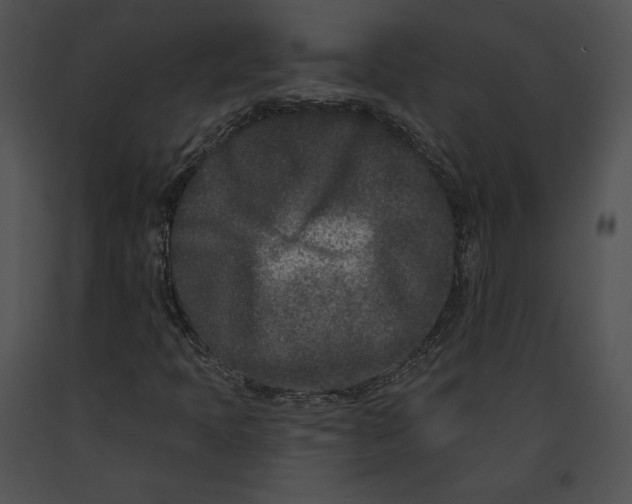 X0000091171397200708301146