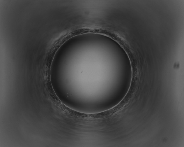 X0000091171398200708301146