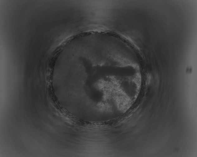 X0000091171399200708301146