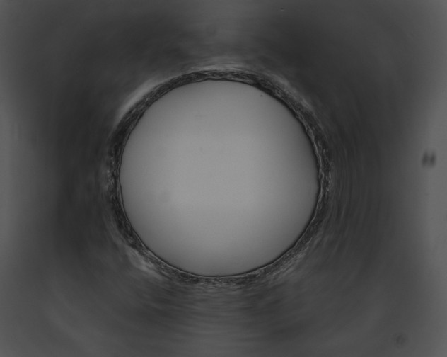 X0000091171400200708301146