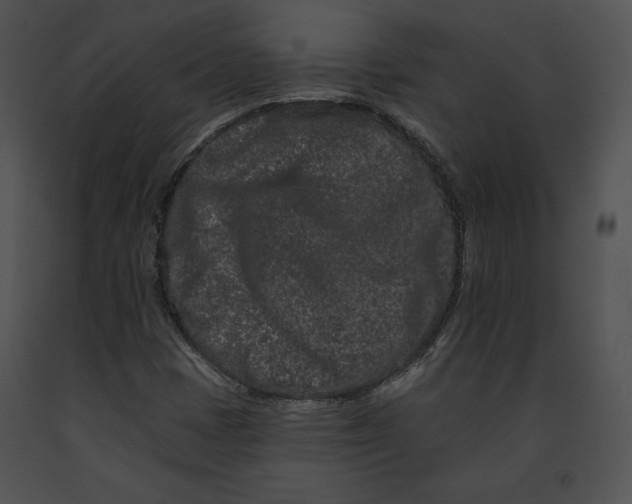 X0000091171401200708301146