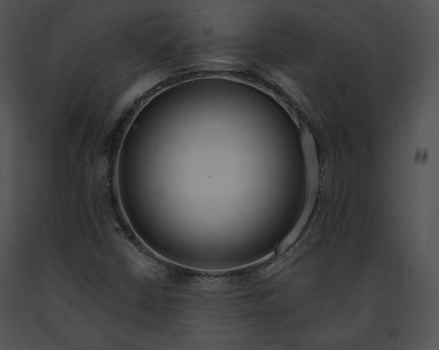 X0000091171402200708301146