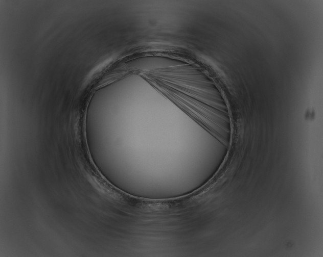 X0000091171403200708301146