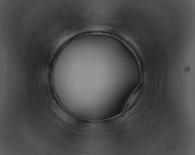 X0000091171404200708301146