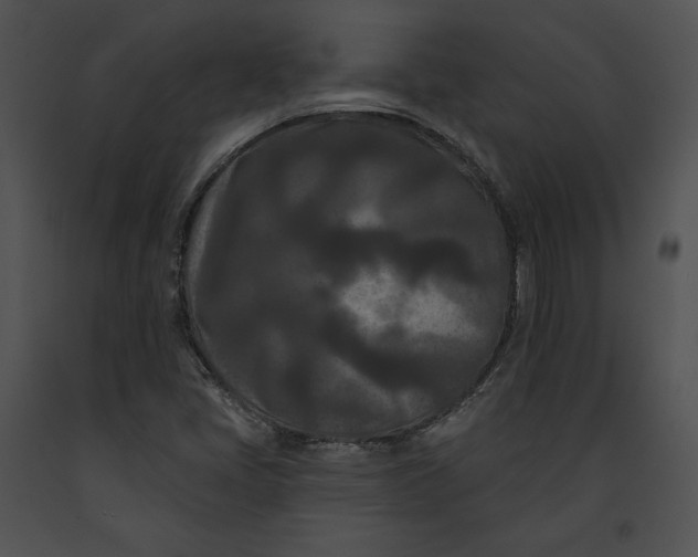 X0000091171405200708301146