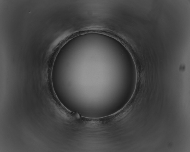 X0000091171406200708301146