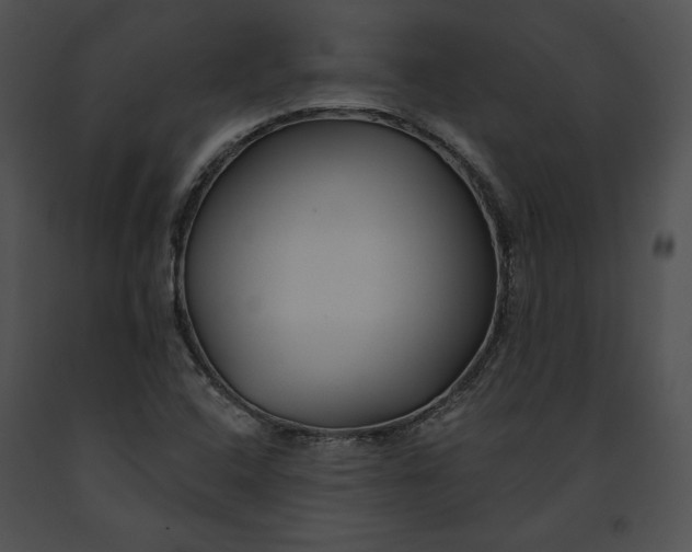 X0000091171408200708301146