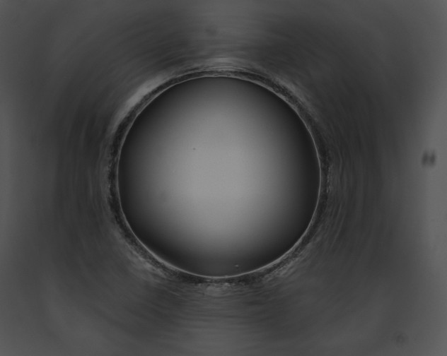 X0000091171410200708301146