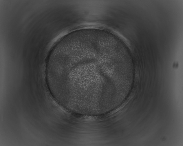 X0000091171411200708301146