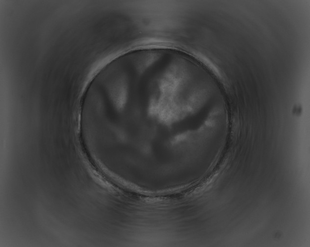 X0000091171413200708301146