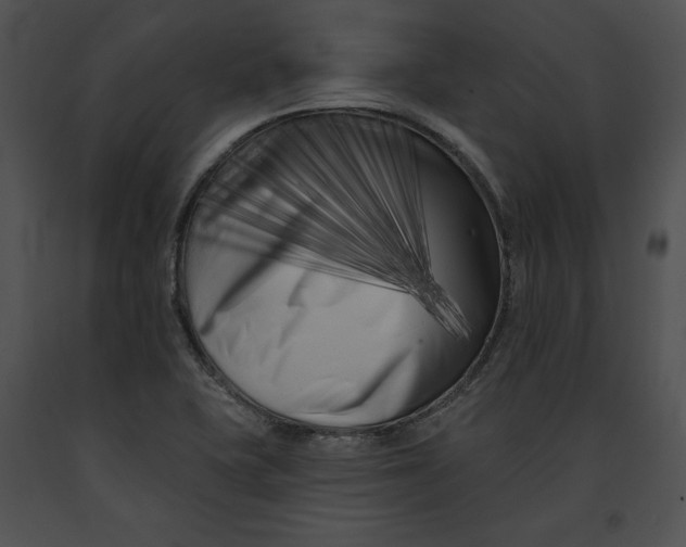 X0000091171415200708301146