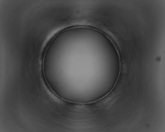 X0000091171416200708301146