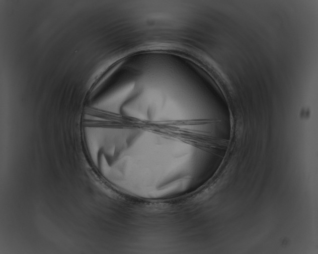 X0000091171417200708301146