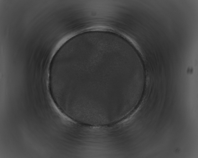 X0000091171418200708301146