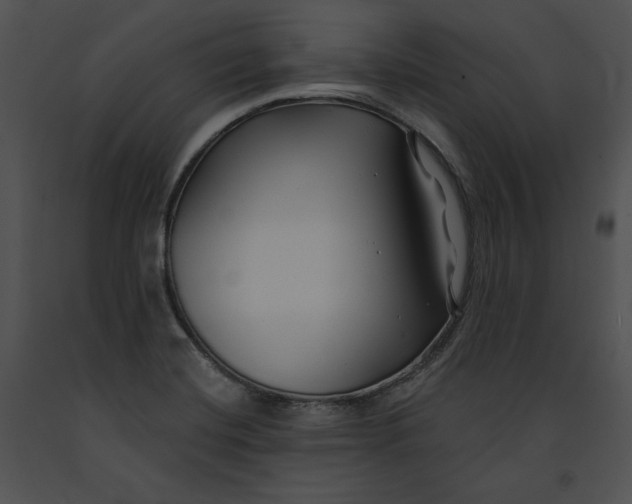 X0000091171420200708301146