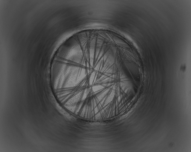 X0000091171421200708301146