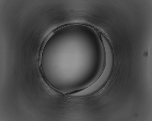 X0000091171422200708301146