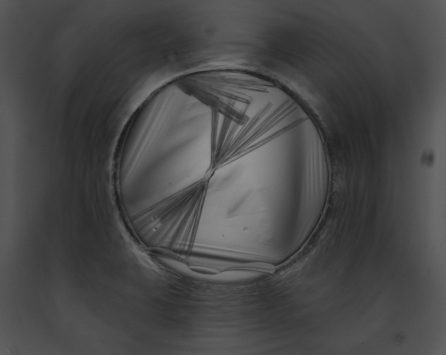 X0000091171423200708301146