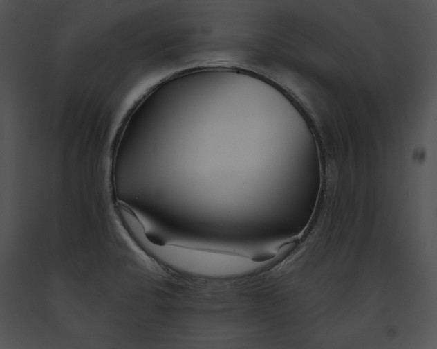 X0000091171424200708301146