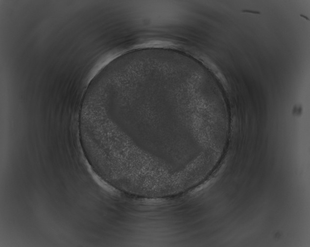 X0000091171425200708301146