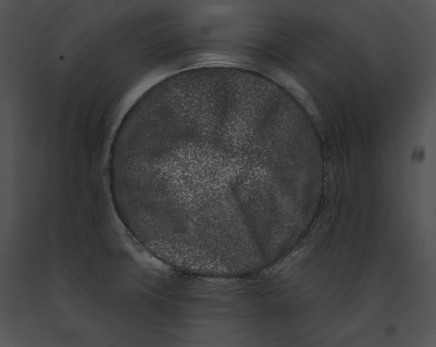 X0000091171427200708301146