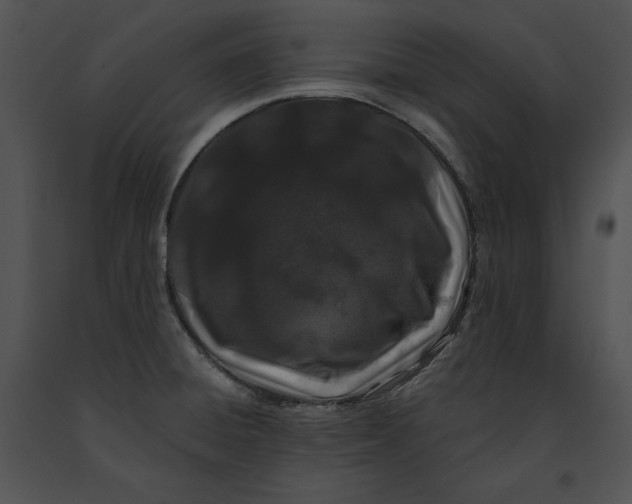 X0000091171428200708301146