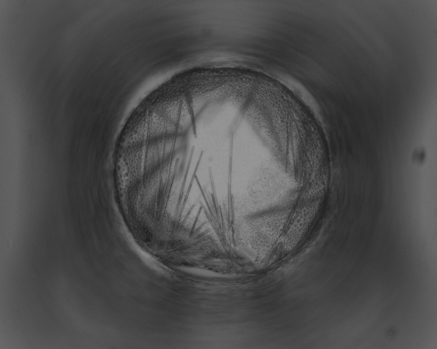 X0000091171429200708301146