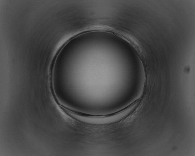 X0000091171430200708301146