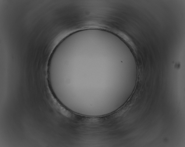 X0000091171431200708301146