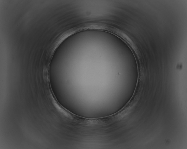 X0000091171433200708301146