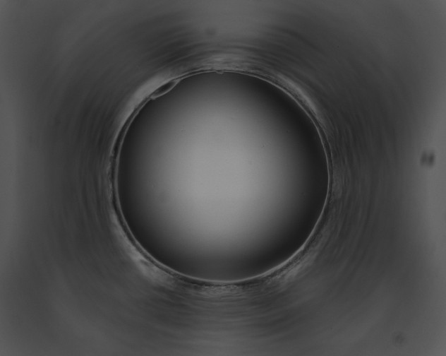 X0000091171434200708301146