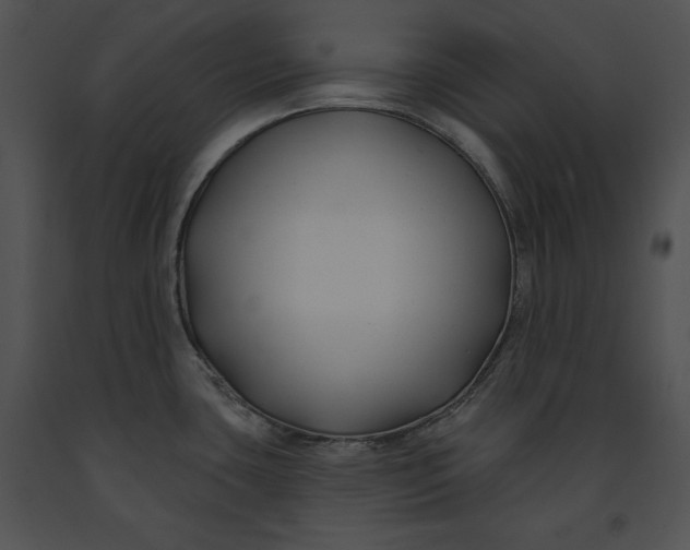 X0000091171435200708301146