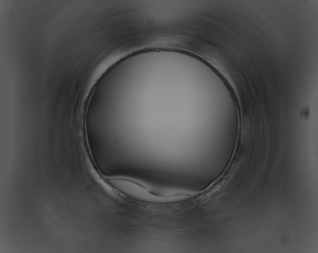 X0000091171437200708301146