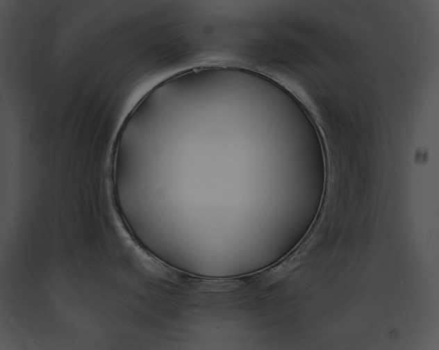 X0000091171440200708301146