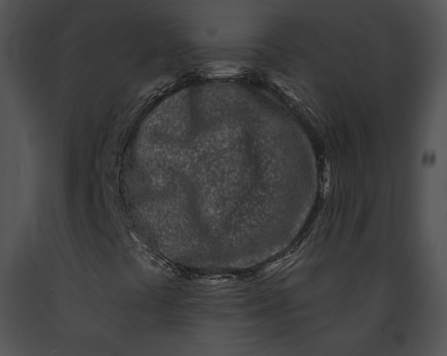 X0000091171441200708301146