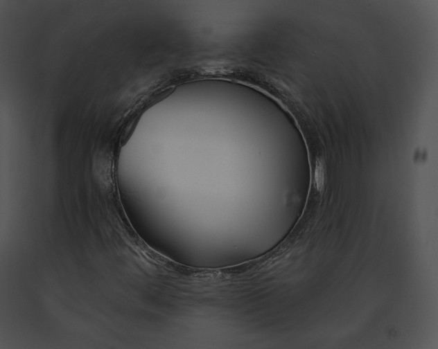 X0000091171444200708301145