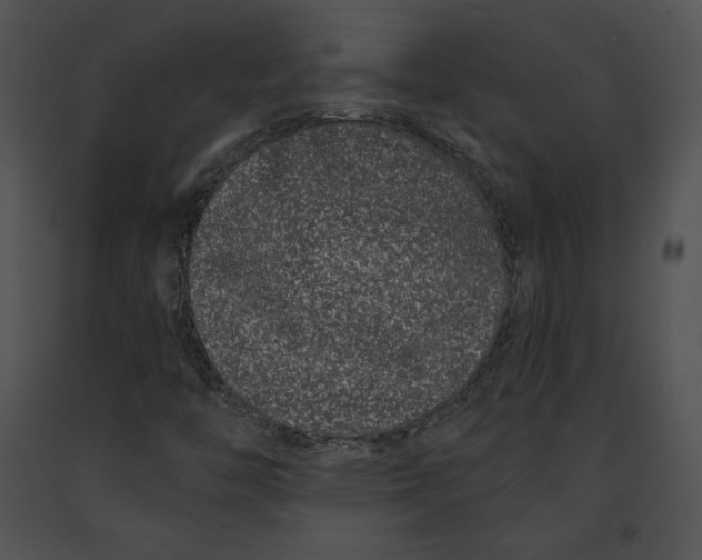 X0000091171446200708301145