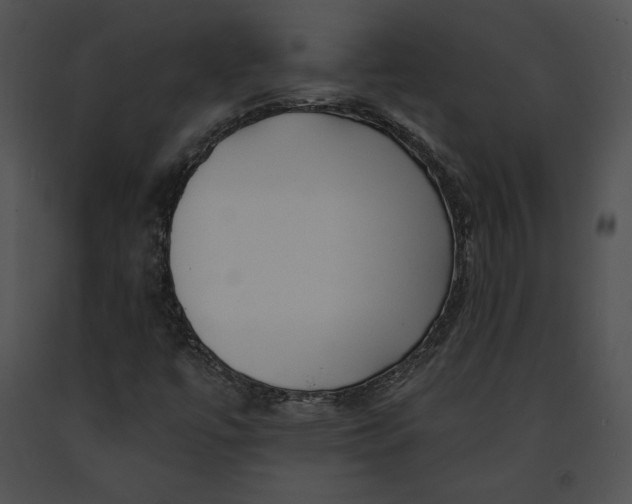 X0000091171447200708301145