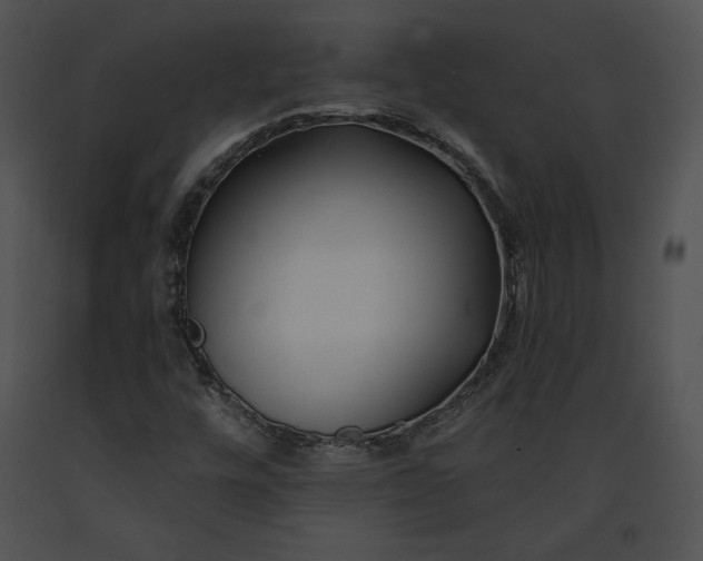 X0000091171448200708301145