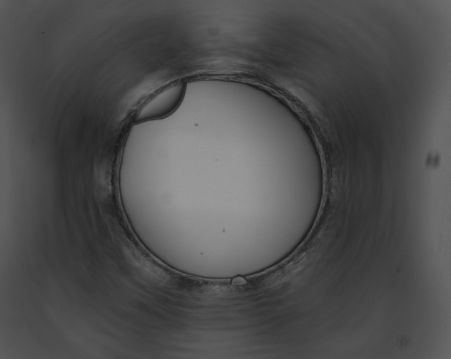 X0000091171451200708301145