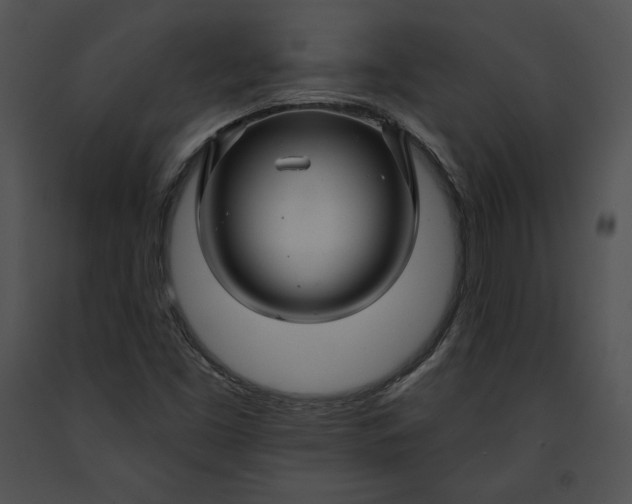 X0000091171453200708301145