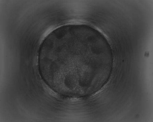 X0000091171459200708301145