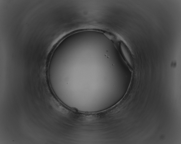 X0000091171460200708301145